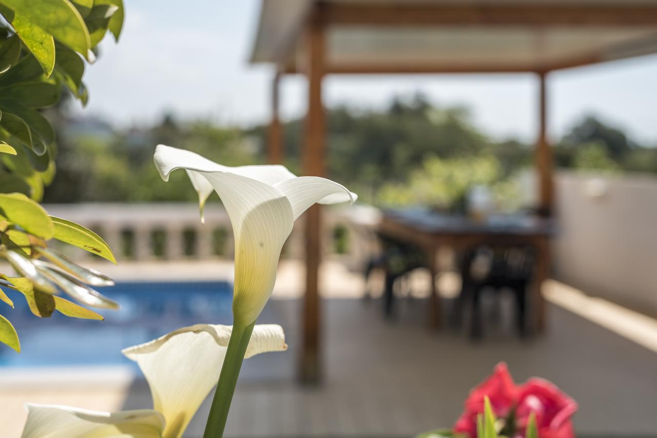 Villa Sao Miguel - アルマカオ・デ・ペラ エクステリア 写真